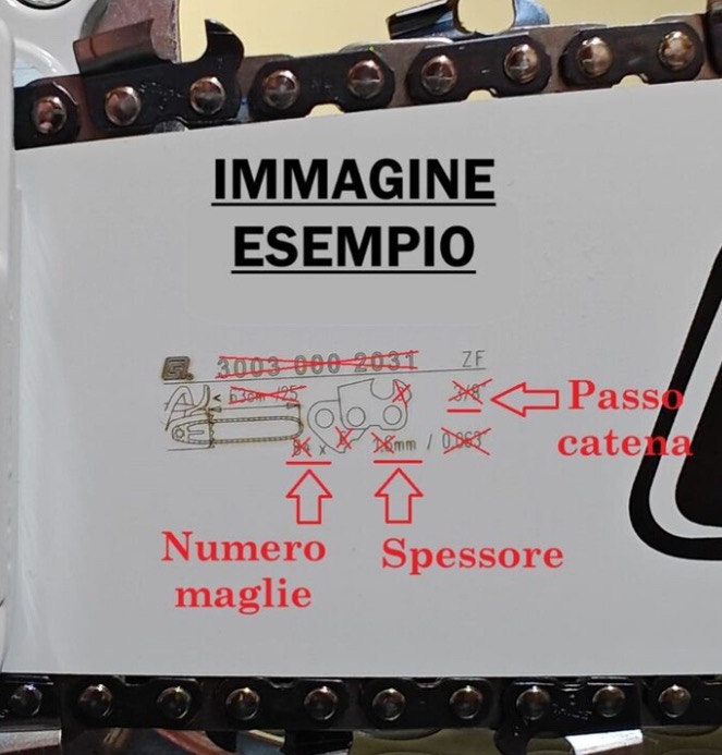 immagine esempio