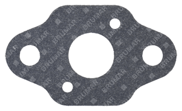 Guarnizione carburatore