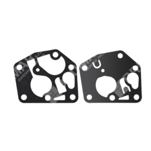 Serie Membrane per carburatori BRIGGS & STRATTON 495770